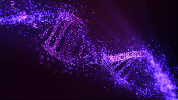 dna molecule model. glowing particles - helix imagens e fotografias de stock