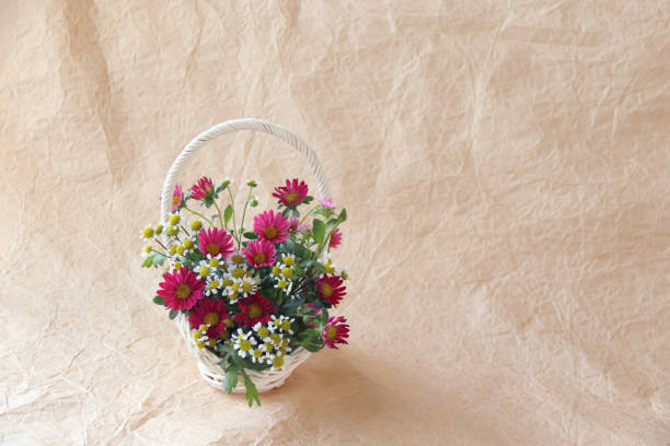 istock China aster and Feverfew bouquet 1178754540
