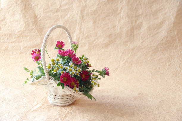 istock China aster and Feverfew bouquet 1178754608