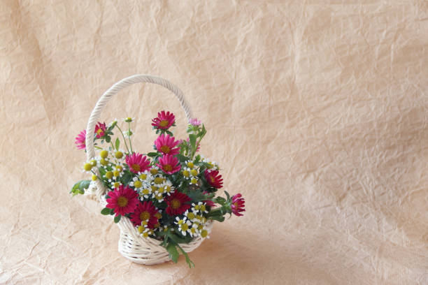 istock China aster and Feverfew bouquet 1178754616