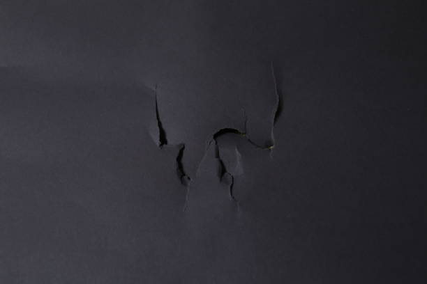 istock Torn Studio background with traces of dog paws on a gray paper background 1178761111