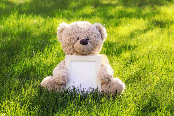 stuffed teddy bear picture frame