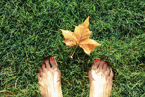 Top view of golden yellow maple leaf at barefoot woman feet on green grass at early morning. First sign of autumn. High contrast grass shadows. Proximity to nature. Fall healthy lifestyle