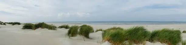 Panoramic view on the dunes along the coast of the island of Terschelling in the Waddenzee