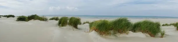 Panoramic view on the dunes along the coast of the island of Terschelling in the Waddenzee