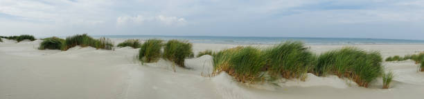 Panorama das dunas gramíneas no console de Terschelling - foto de acervo