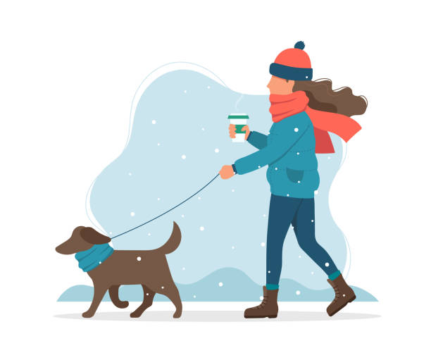 frau zu fuß einen hund im winter. nette vektor-illustration im flachen stil - snow walking stock-grafiken, -clipart, -cartoons und -symbole