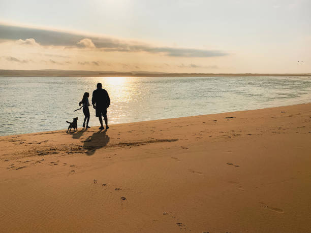 Spectacular sunset with silhouette of people and dogs or pets on beach