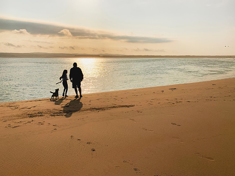 Dog Walking at the Beach