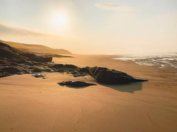 Northumberland Golden Sands Beach with the tide out showing golden sands as the sun shines down. northumberland stock pictures, royalty-free photos & images