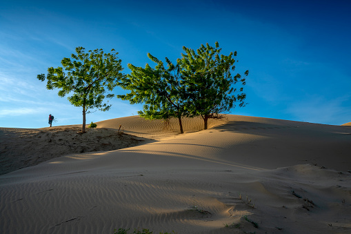 Photographer at top of the Nam Cuong Sand Dunes in Phan Rang Desert