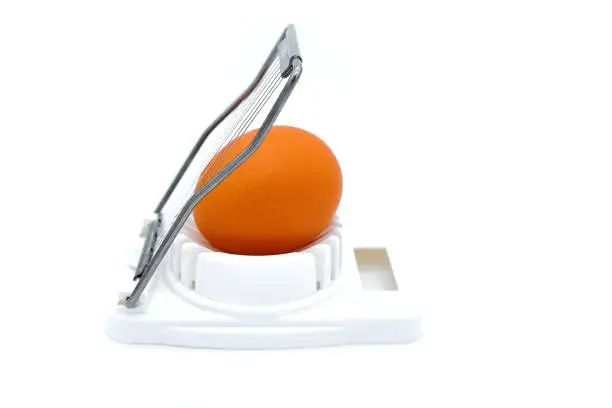 White background, isolate. Cutting eggs for cooking. Egg in shell a white egg-cutter.