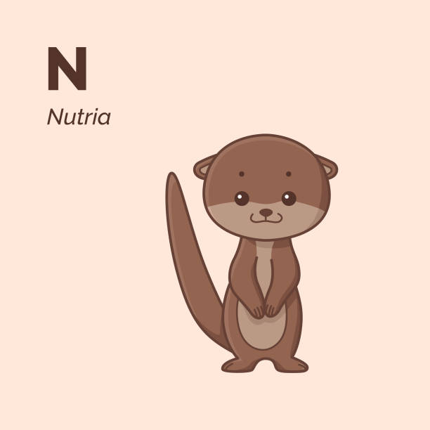 Alphabet Nutria - cute character for children. Vector illustration in cartoon style. nutria rodent animal alphabet stock illustrations