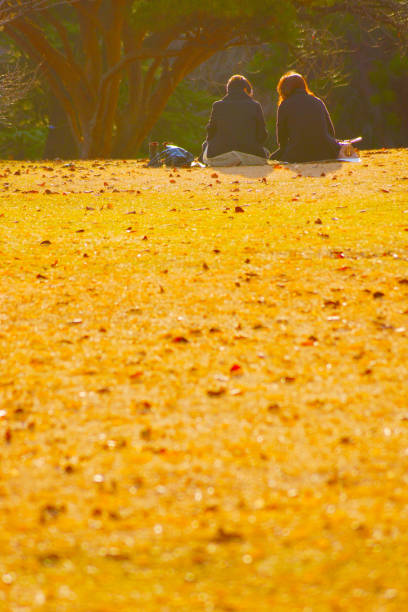 Two people twilight is in the autumn park. Shooting Location: Chofu, Tokyo