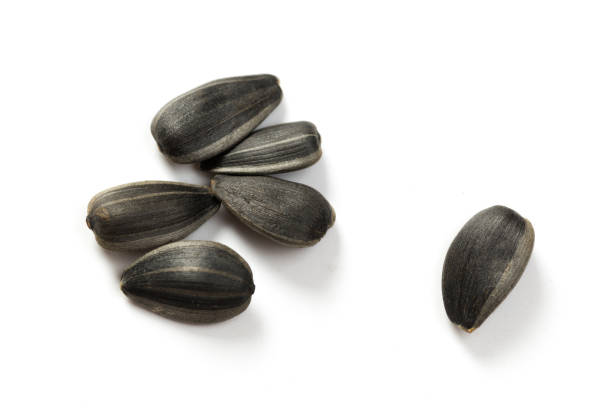 istock Organic Sunflower seeds isolated on white background 1178772158