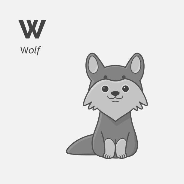 Baby Wolf Illustrations, Royalty-Free Vector Graphics & Clip Art - iStock