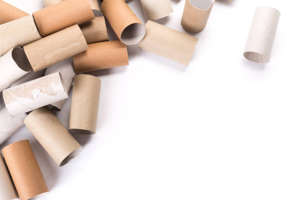 istock empty paper toilet rolls on white background 1178772251