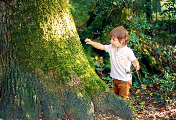 Cute little curious boy touching old tree covered with green moss in forest outdoors. Inquisitive childhood. Child exploring the world around.