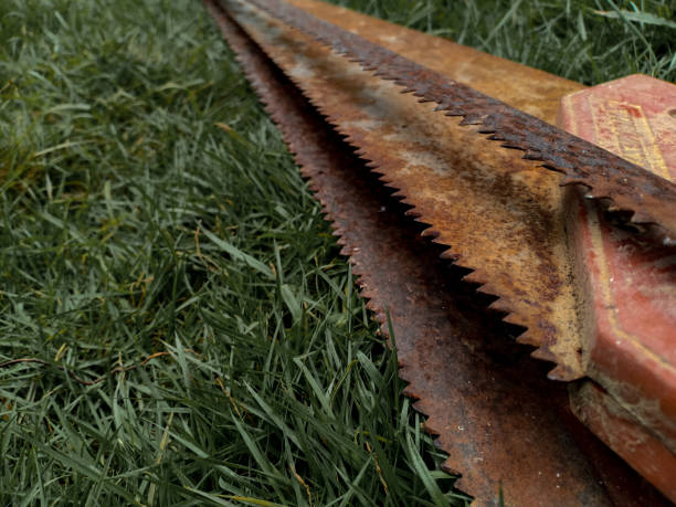 istock Blade of saw 1178772590