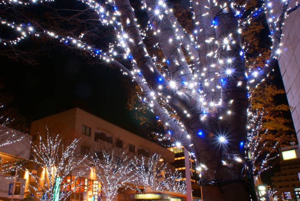 Illuminated tree Illuminated tree. Shooting Location: Tokyo metropolitan area 電球 stock pictures, royalty-free photos & images