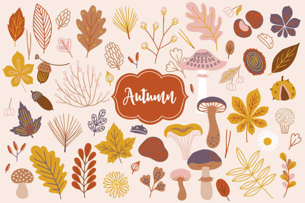 satz von vektor herbst elemente - eichel, gänseblümchen, zweig, beere, blume - chestnut chestnut tree backgrounds seamless stock-grafiken, -clipart, -cartoons und -symbole