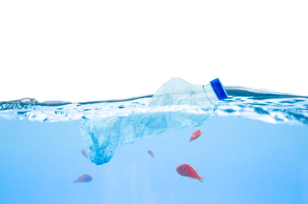 istock Plastic bottle pollution in ocean and fish underwater 1178776219