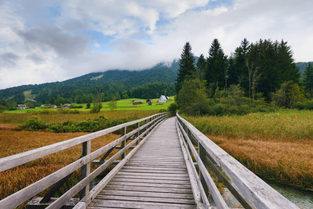 istock Scenic landscape with wooden footpath bridge 1178776487