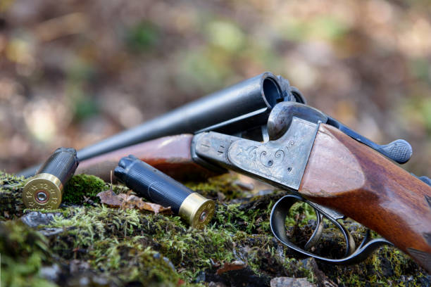Weapons and cartridges lie on a tree. A hunting shotgun and cartridges lie on a tree trunk. Autumn, fallen foliage. animals hunting stock pictures, royalty-free photos & images
