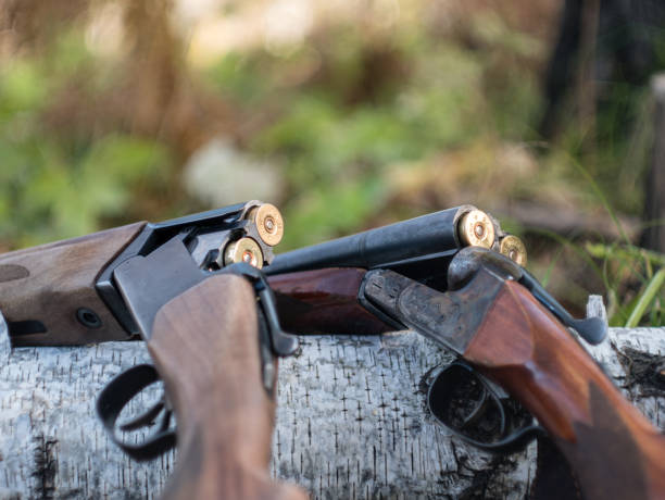 istock Weapons and cartridges lie on a tree. 1178776534