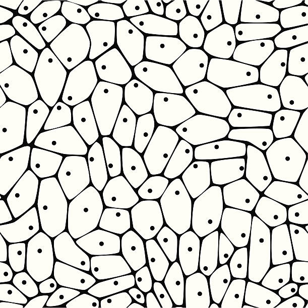 komórki-bezszwowe - komórka roślinna stock illustrations