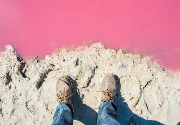 Photo of Shot of someone looking below to his foot, standing near the edge of salt pink lake in west gate park of Melbourne, Australia.