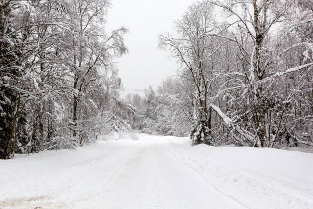 carretera nevada en el bosque de invierno, hermoso paisaje blanco helado, rusia. - 2947 fotografías e imágenes de stock