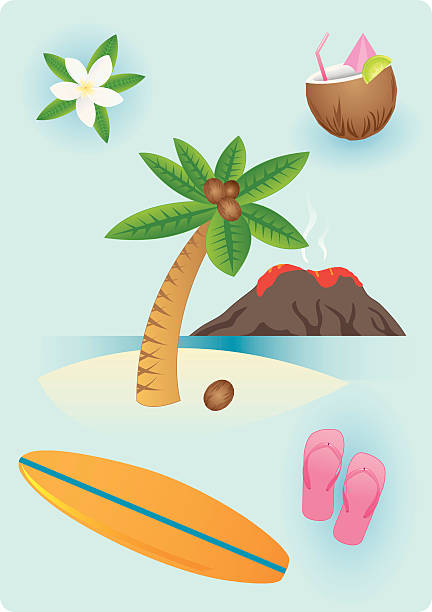 하와이어 물건 - coconut drink cocktail umbrella stock illustrations