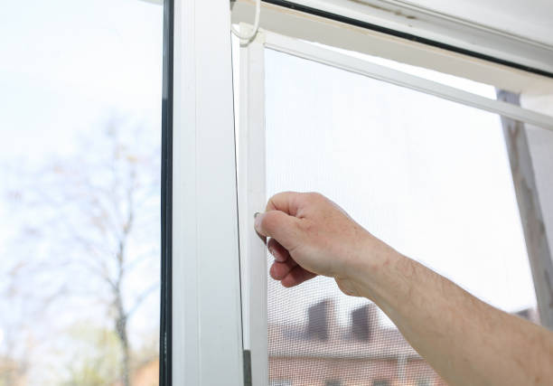 istock Man is installing the mosquito net on the window. Protection from bugs. 1178782066