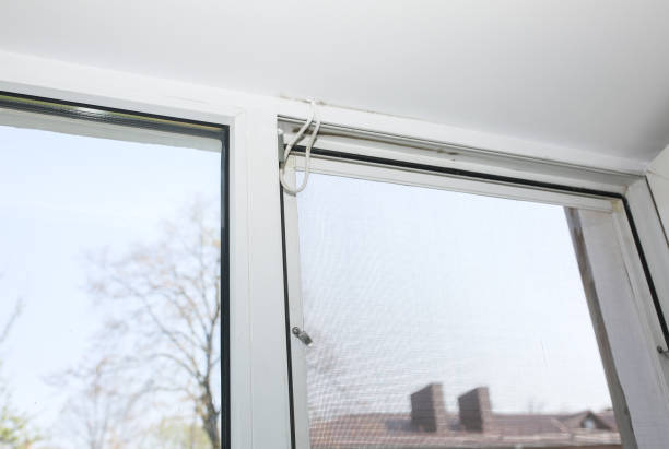istock Mosquito net on the window. Protection from bugs. 1178782085