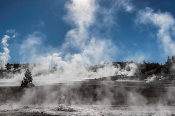istock Norris Geyser Basin, Yellowstone 1178782923