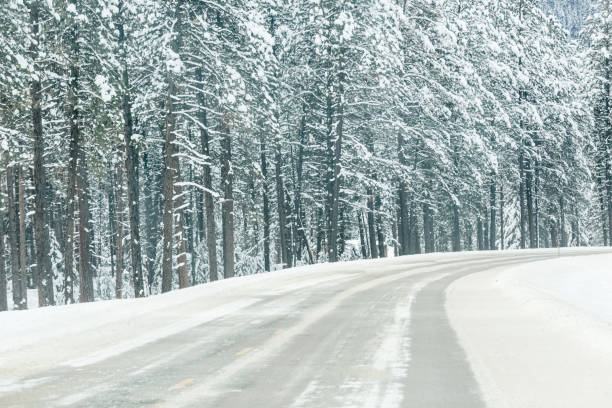 istock Icy interstate highway in Montana mountain forest. 1178784673