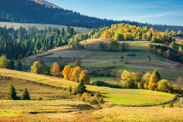 istock sunny autumnal rural scenery in mountains 1178784675