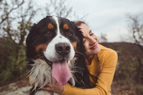 Young woman with dog stock photo