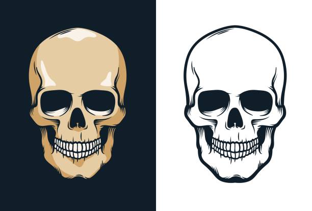 Basic RGB Skull in retro vintage style. Vector illustration. skull stock illustrations