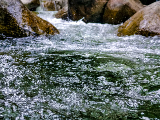 river in tropical forest in Malaysia