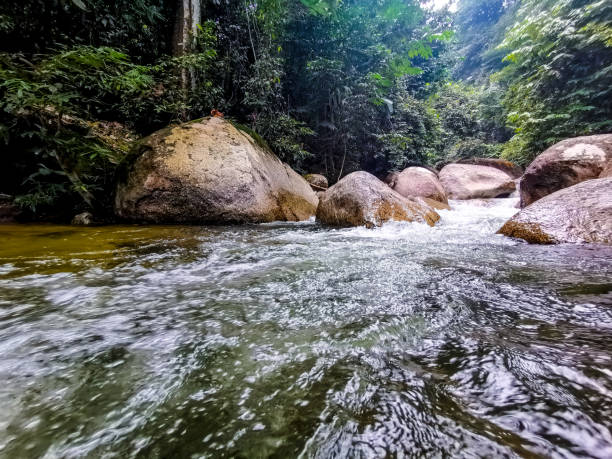 istock Selected focus view of crystal clear white water rapid 1178788220