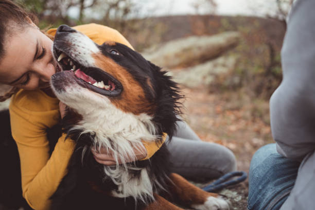istock Young woman with dog 1178788230