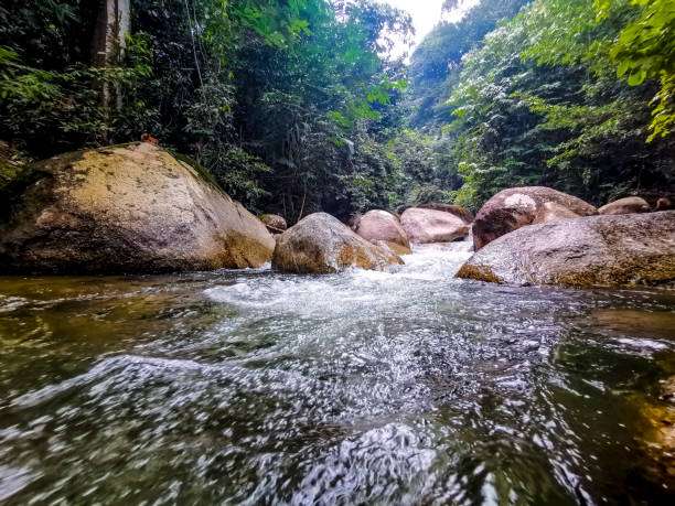 istock Selected focus view of crystal clear white water rapid 1178788251