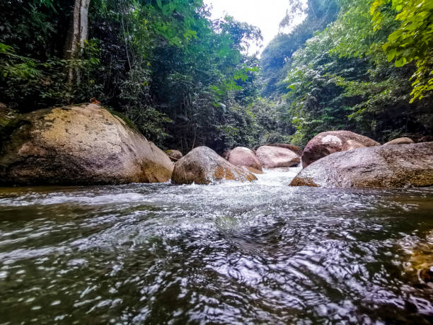 istock Selected focus view of crystal clear white water rapid 1178788255