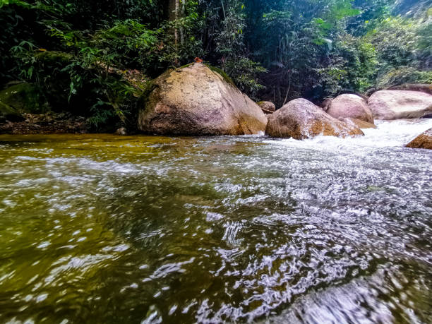 istock Selected focus view of crystal clear white water rapid 1178788327