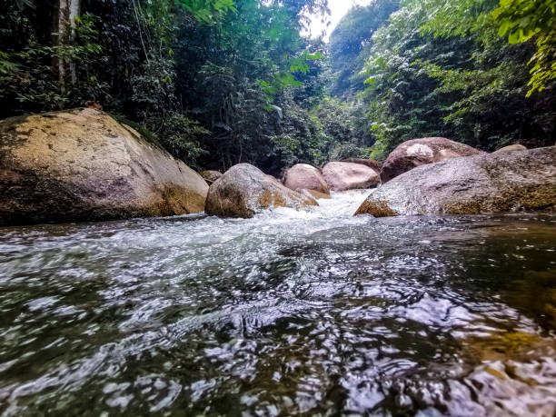istock Selected focus view of crystal clear white water rapid 1178788328