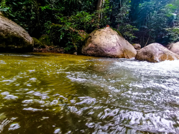istock Selected focus view of crystal clear white water rapid 1178788336