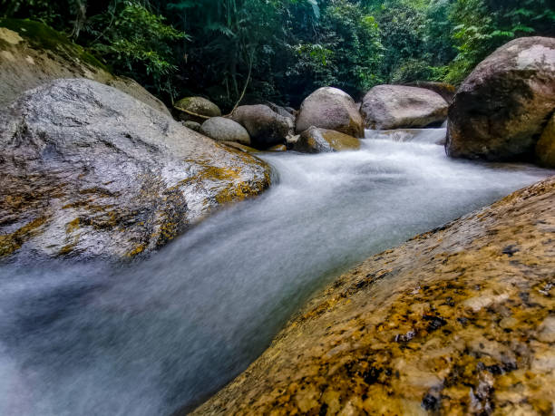 istock Selected focus view of crystal clear white water rapid 1178788343