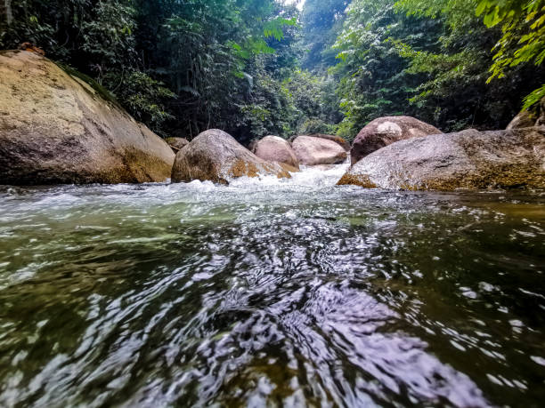istock Selected focus view of crystal clear white water rapid 1178788344